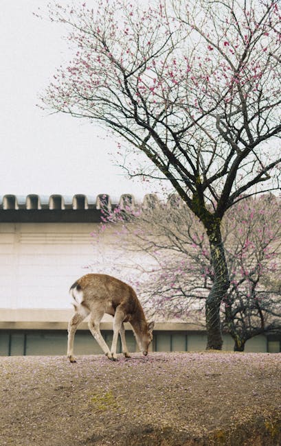 Proiect de casă modernă cu spații deschise